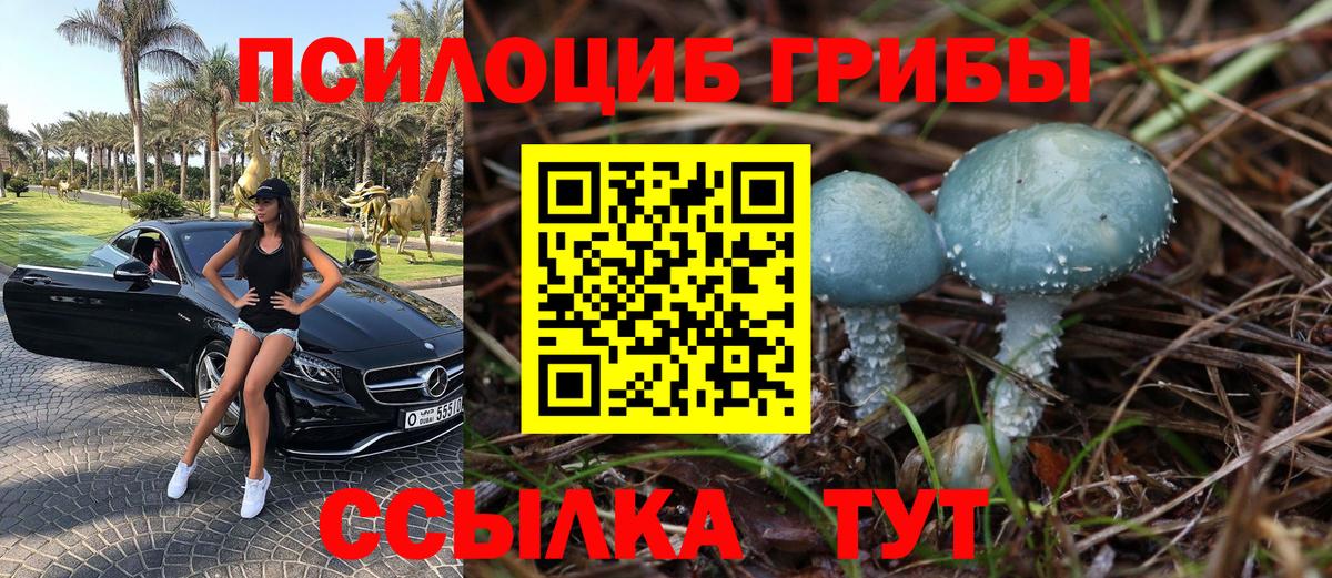 Псилоцибиновые грибы Magic Shrooms Тихорецк