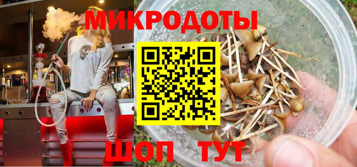 Тихорецк  Галлюциногенные грибы Psilocybe  Вход с VPN 